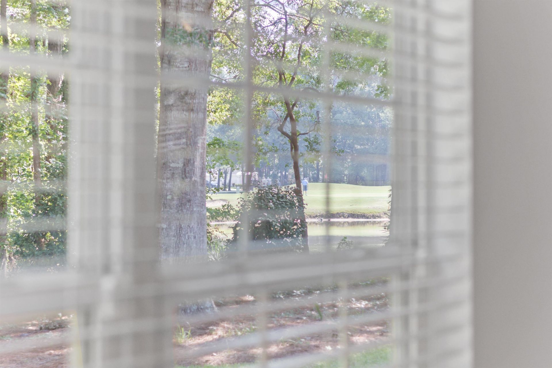 4538 Firethorne Dr. Photo 20