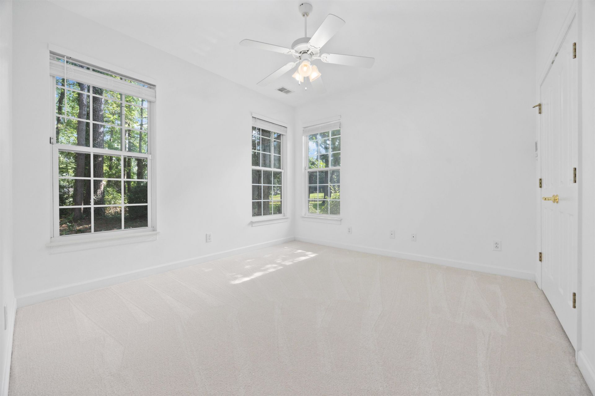 4538 Firethorne Dr. Photo 53