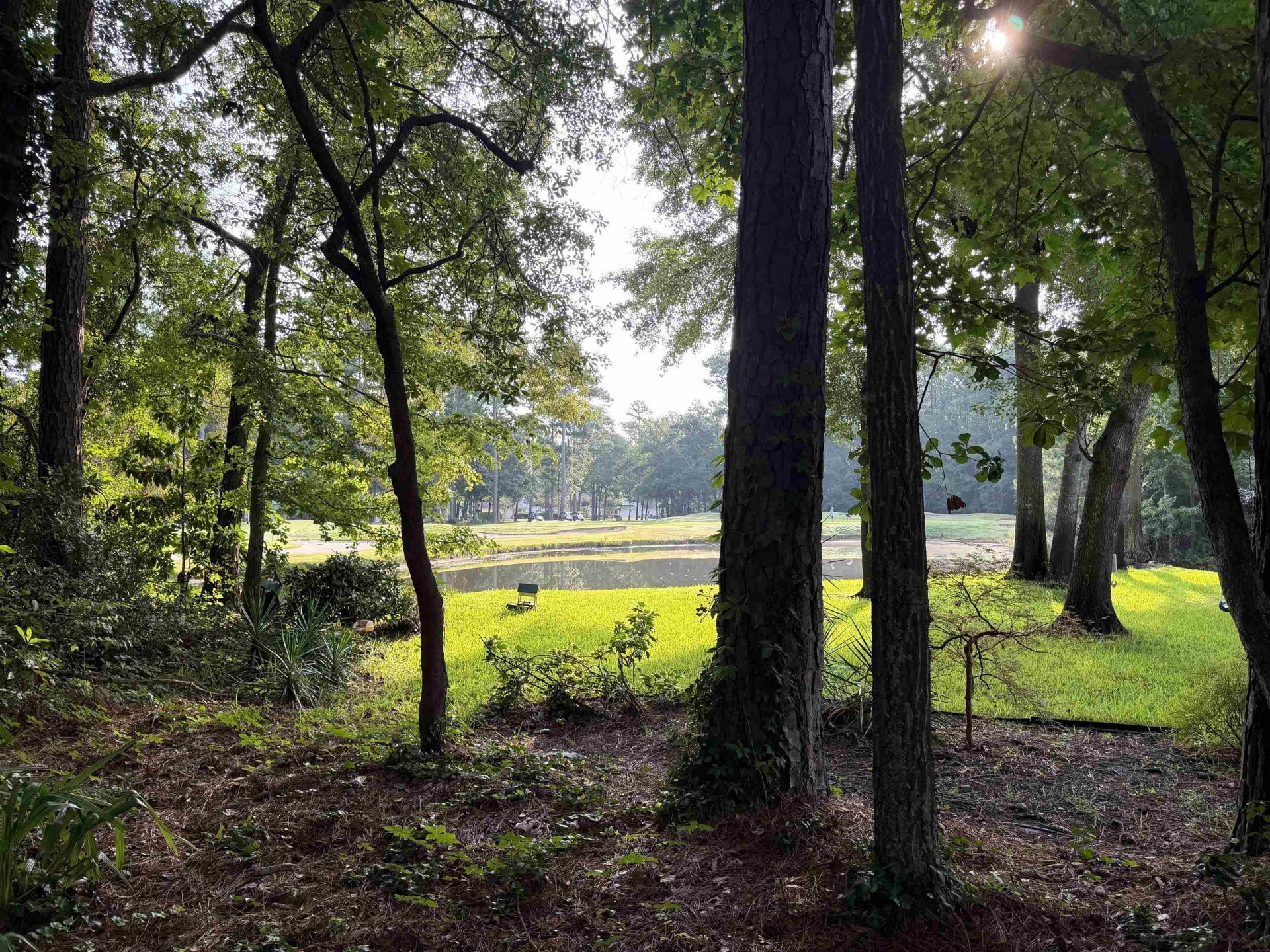 4538 Firethorne Dr. Photo 62