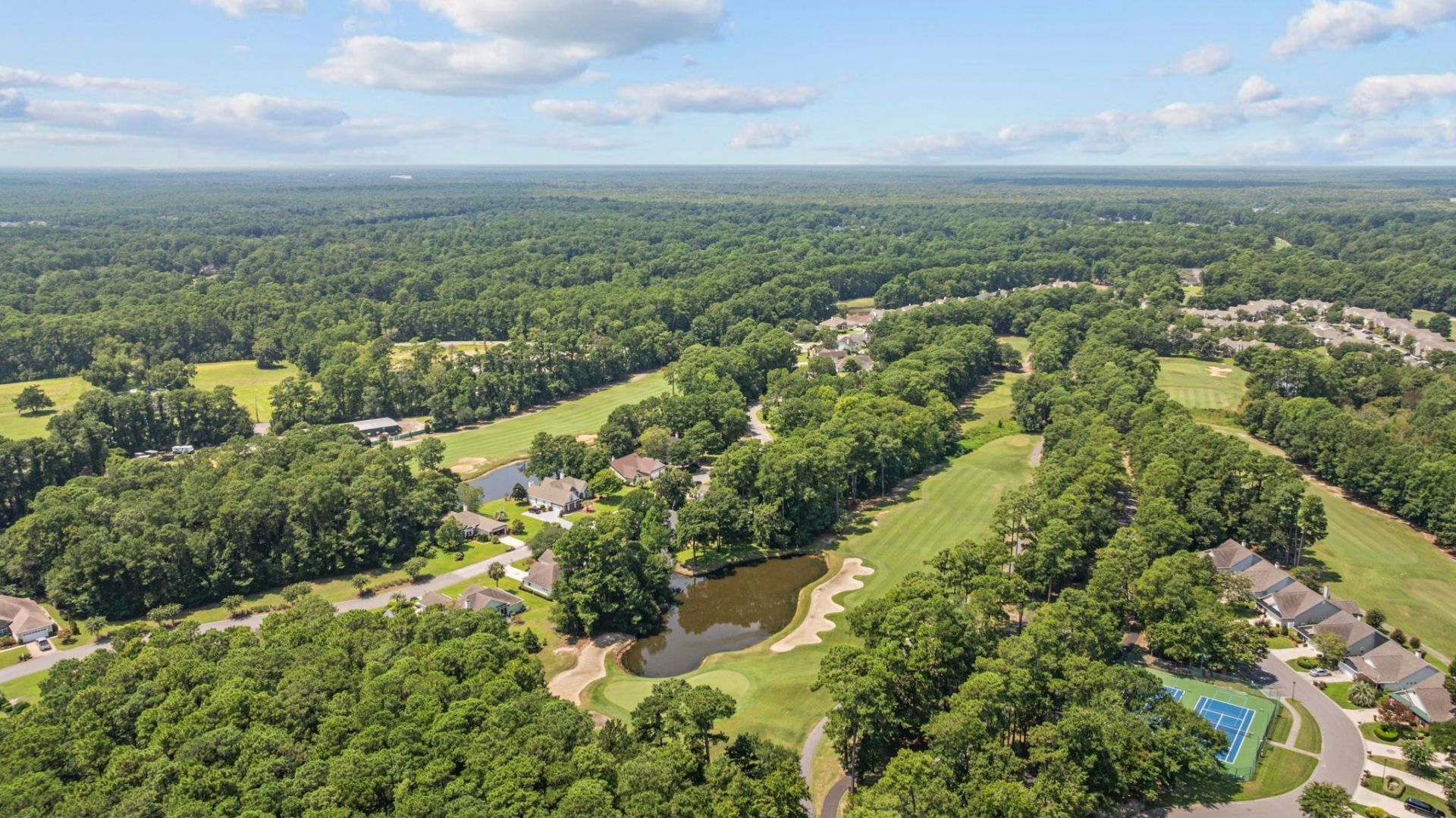 4538 Firethorne Dr. Photo 85