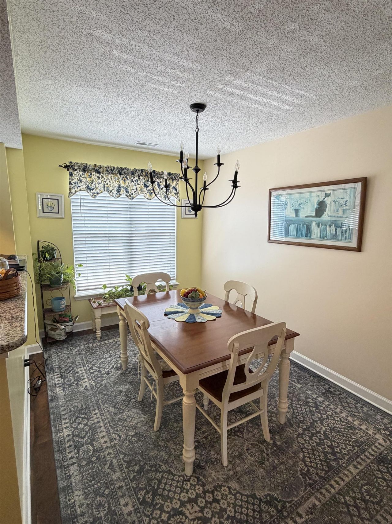 300 Willow Green Dr. Photo 13