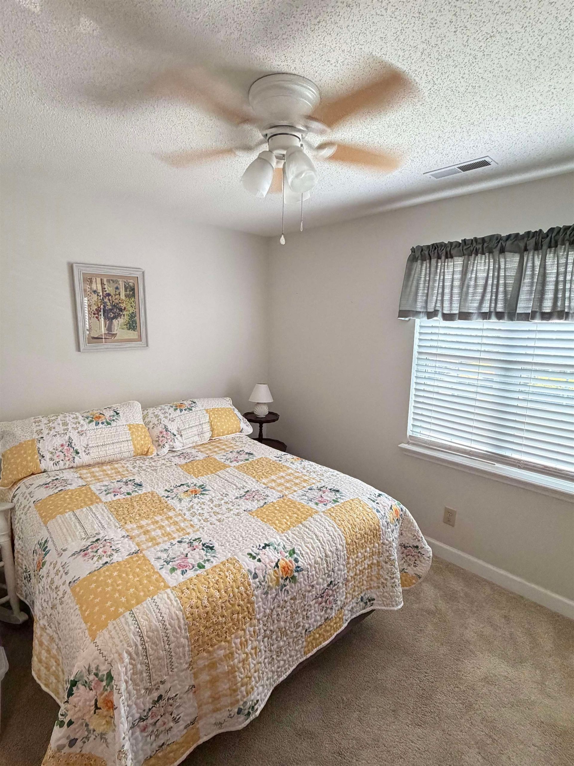 300 Willow Green Dr. Photo 16