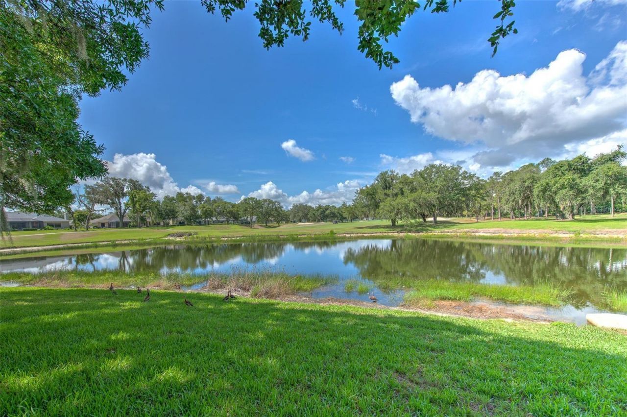 5103 Broken Sound Lane, Valrico, FL 33596 Photo