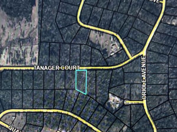 0 Tanager Court , Marianna, FL 32448