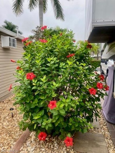 10309 Fire Flag Trl , Fort Myers, FL 33905 Photo