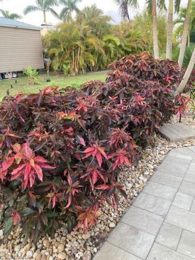 10309 Fire Flag Trl , Fort Myers, FL 33905 Photo