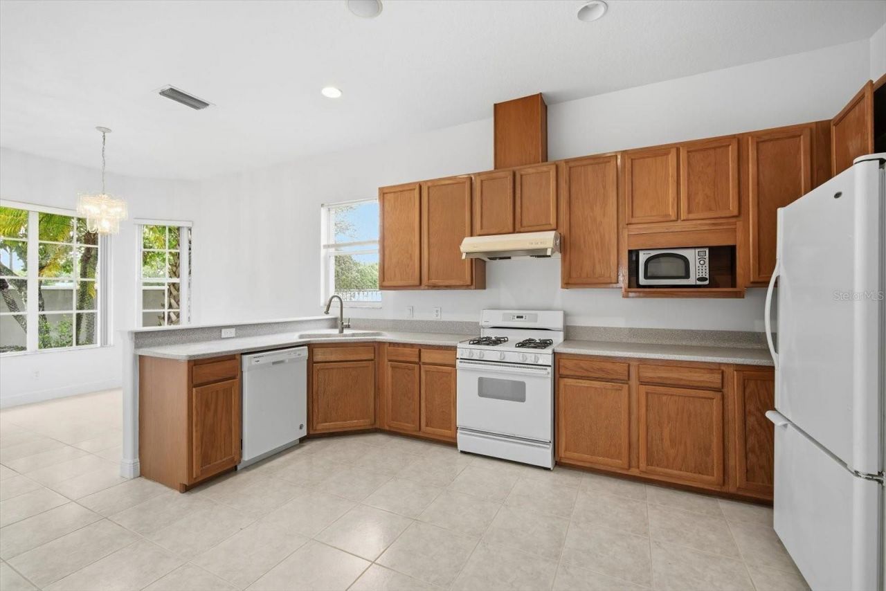 14902 Devonshire Woods Place, Tampa, FL 33624 Photo