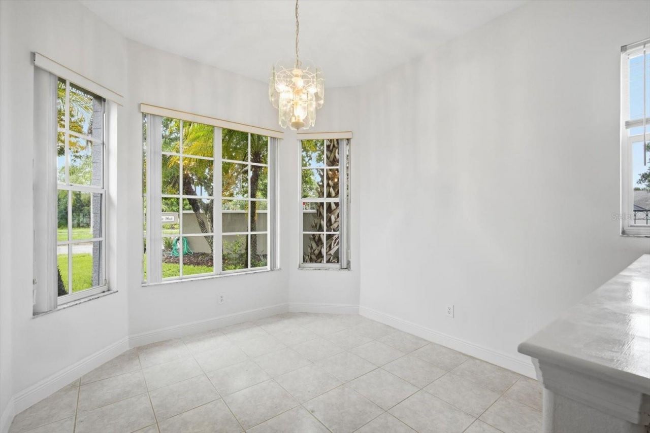 14902 Devonshire Woods Place, Tampa, FL 33624 Photo