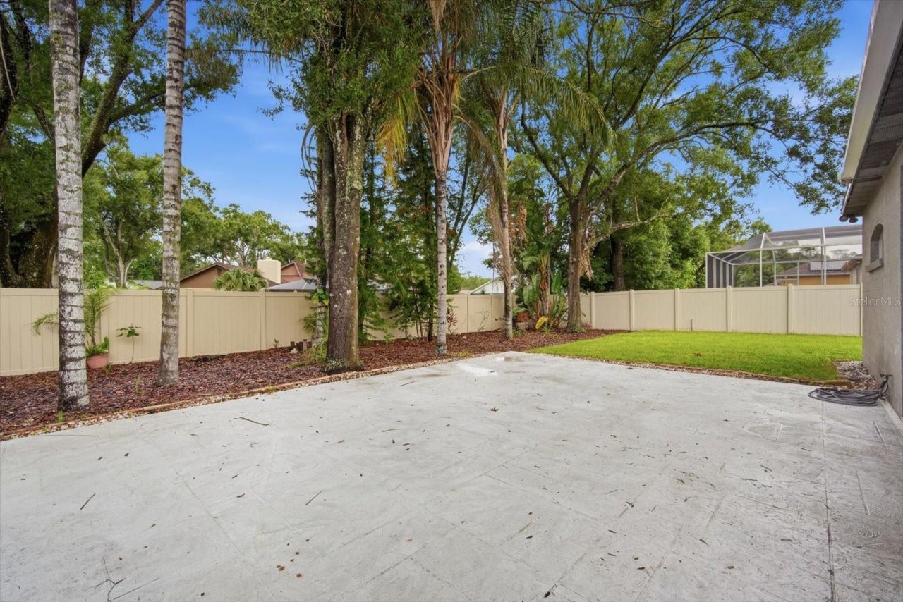 14902 Devonshire Woods Place, Tampa, FL 33624 Photo