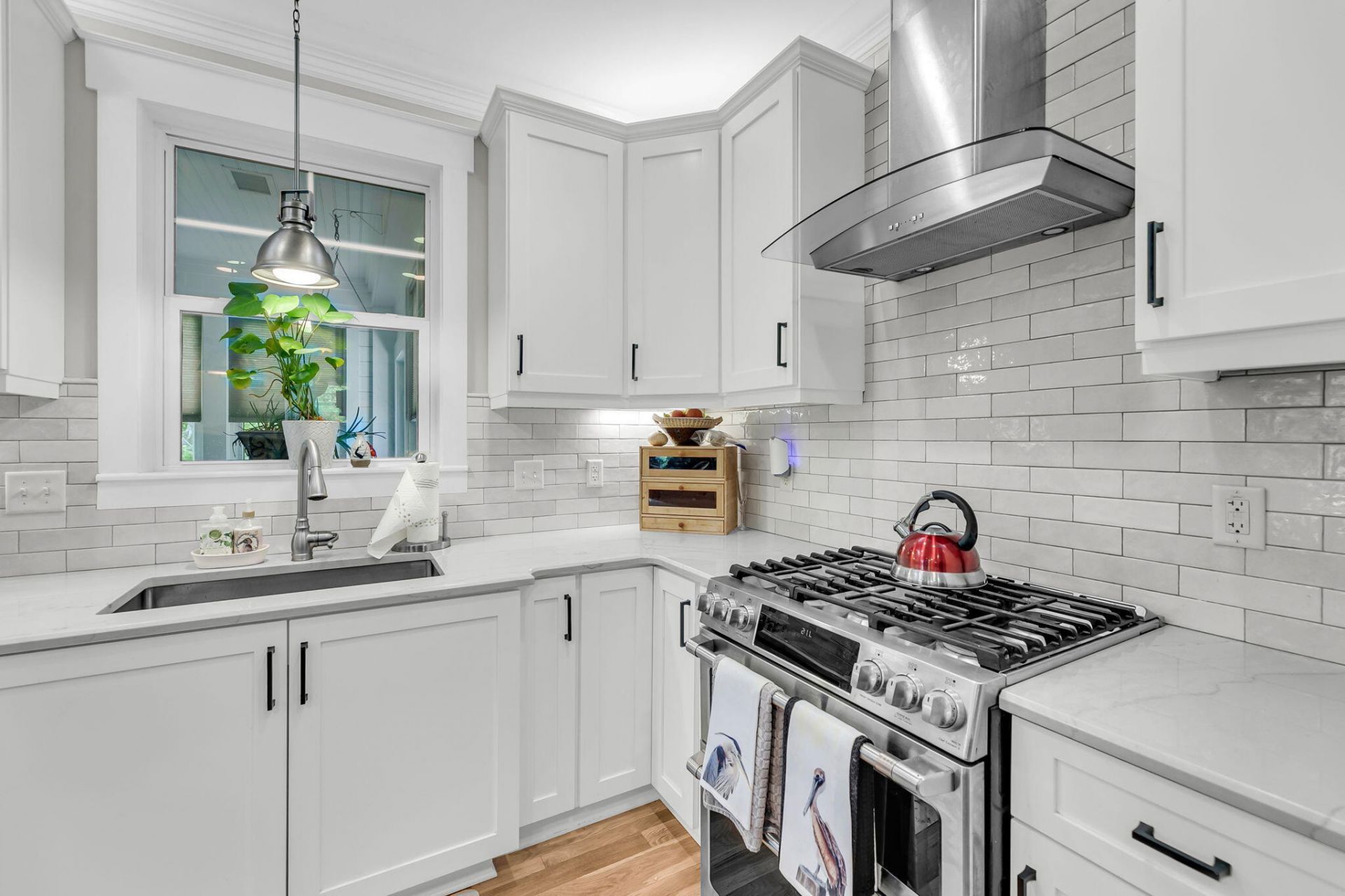 8476 Bottlenose Court Photo 10