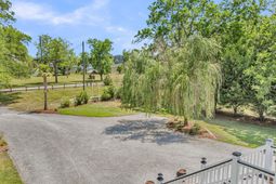 8476 Bottlenose Court photo 4