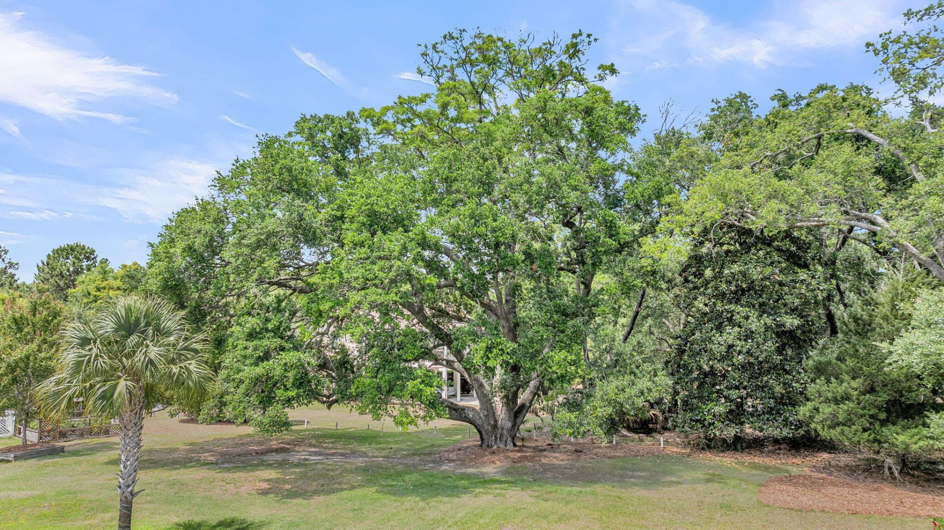 8476 Bottlenose Court Photo 44