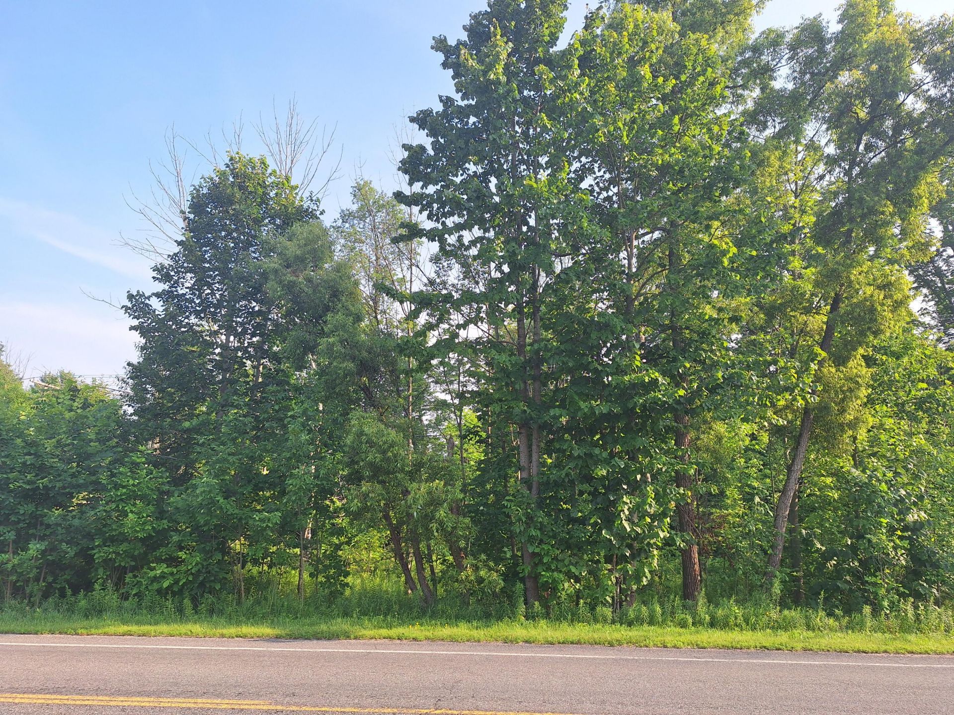 00 Vl 14 Mile Rd Road, Leroy, MI 49655 Main Photo