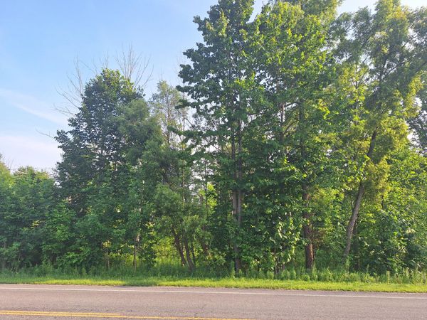 00 VL 14 Mile Rd Road, Leroy, MI 49655