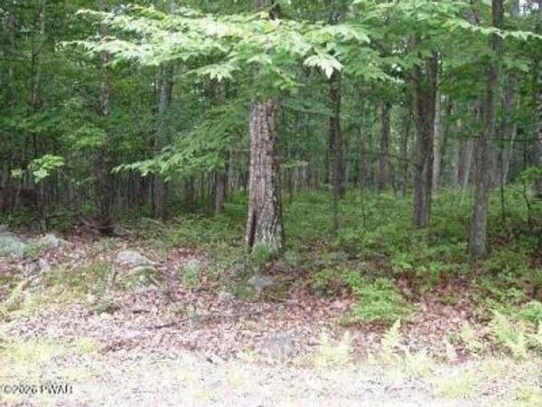 Woodledge East Lake, Hawley, PA 18428