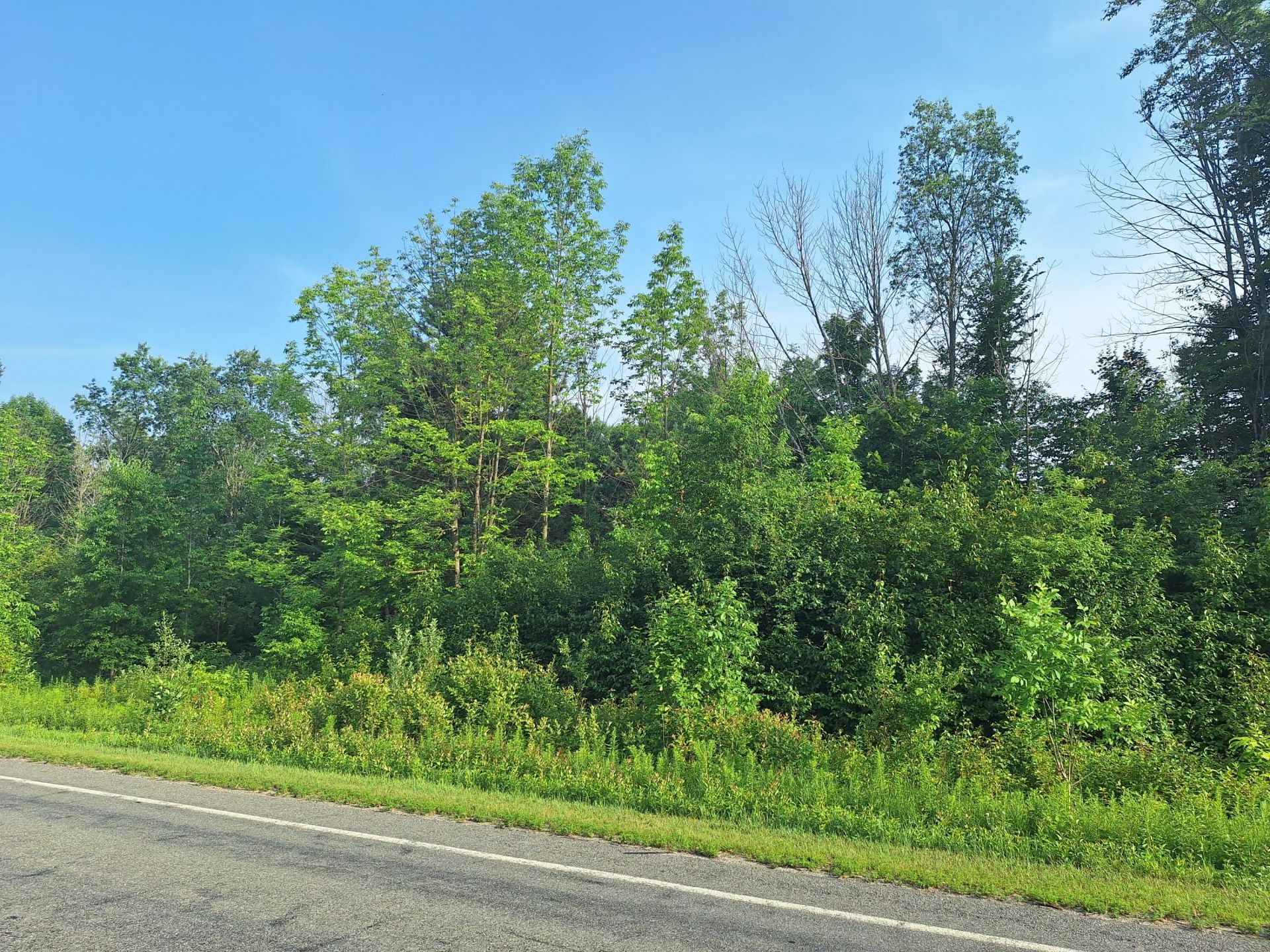 000 Vl 14 Mile Rd, Leroy, MI 49655 Main Photo