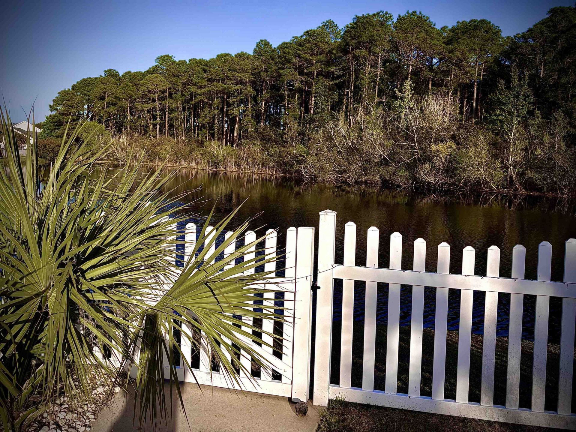 2440 Seneca Ridge Dr. Photo 41