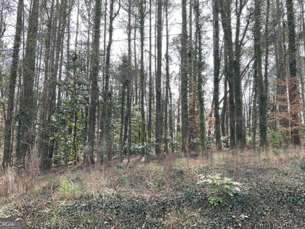 0 Head Avenue, Tallapoosa, GA 30176