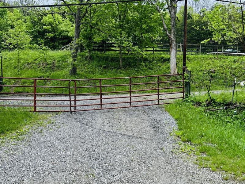 10061 Persimmon Grove Pike, Alexandria, KY 41001 Photo 10
