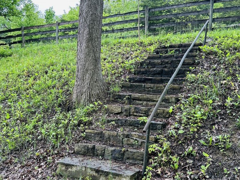 10061 Persimmon Grove Pike, Alexandria, KY 41001 Photo 11