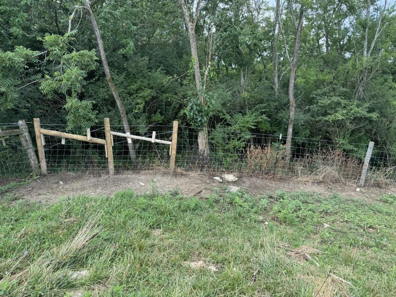 10061 Persimmon Grove Pike, Alexandria, KY 41001 Photo 15