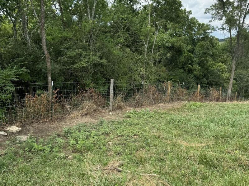 10061 Persimmon Grove Pike, Alexandria, KY 41001 Photo 16