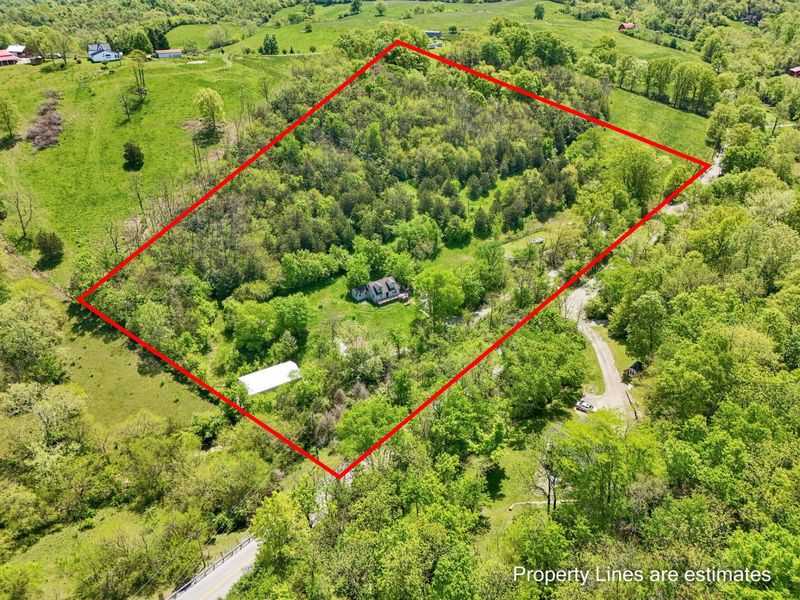 10061 Persimmon Grove Pike, Alexandria, KY 41001 Photo 2