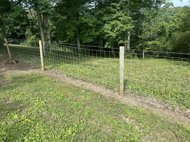 10061 Persimmon Grove Pike, Alexandria, KY 41001 Photo 45