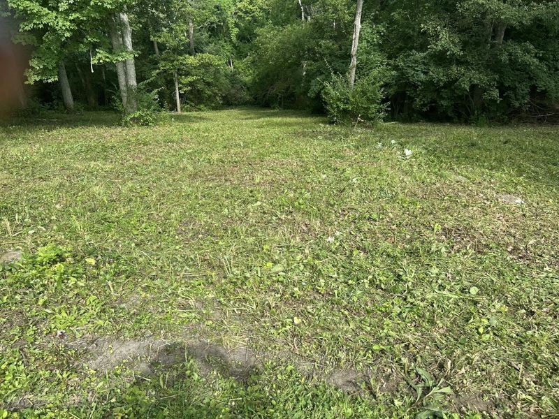 10061 Persimmon Grove Pike, Alexandria, KY 41001 Photo 46