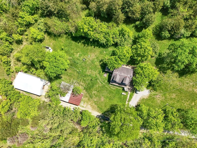 10061 Persimmon Grove Pike, Alexandria, KY 41001 Photo 5