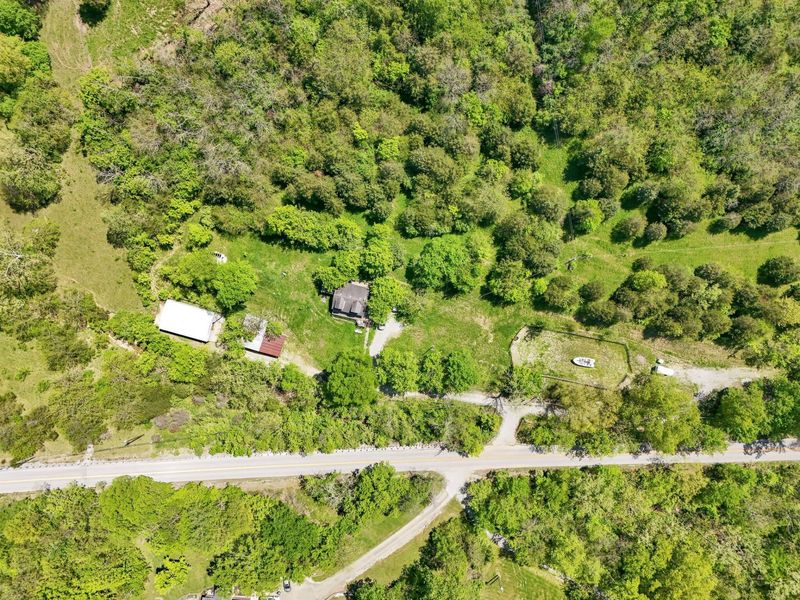 10061 Persimmon Grove Pike, Alexandria, KY 41001 Photo 6