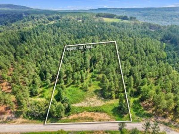0 Birds Eye Way, Guild, TN 37340