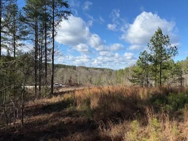 0 Birds Eye Way , Unit 1097, Guild, TN 37340