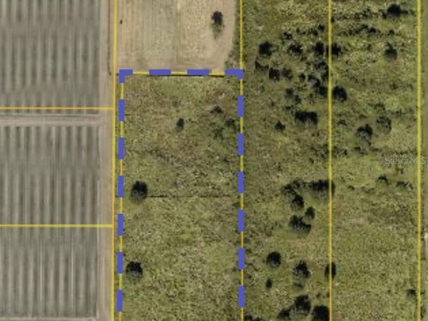12532 ANDREWS ROAD , WIMAUMA, FL 33598