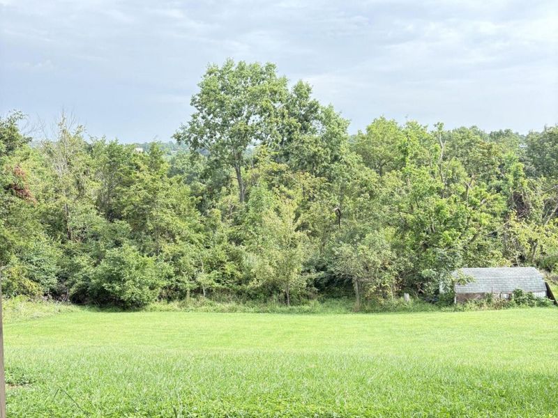 216 Southern Drive, Williamstown, KY 41097 Photo 20