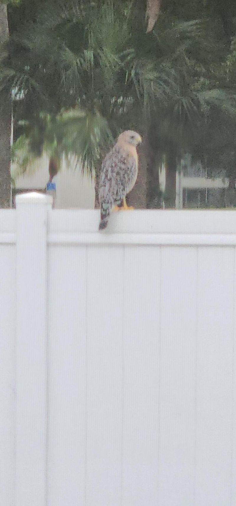 722 SE Arton Lane, Port Saint Lucie, FL 34983 Photo