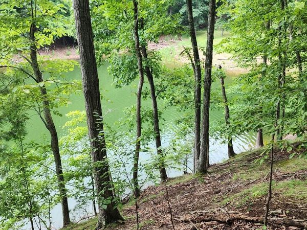 2109 Kahiti Court, Mooresburg, TN 37811