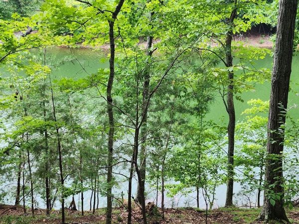 Kahiti Court, Mooresburg, TN 37811