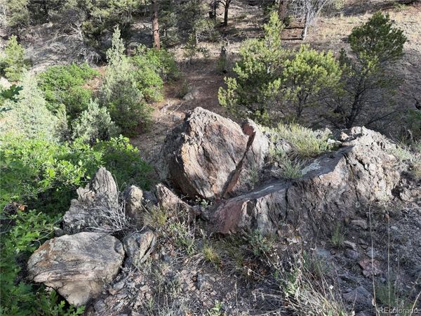 594 Maurice Drive , Cotopaxi, CO 81223