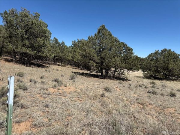 520 W View Road , Cotopaxi, CO 81223