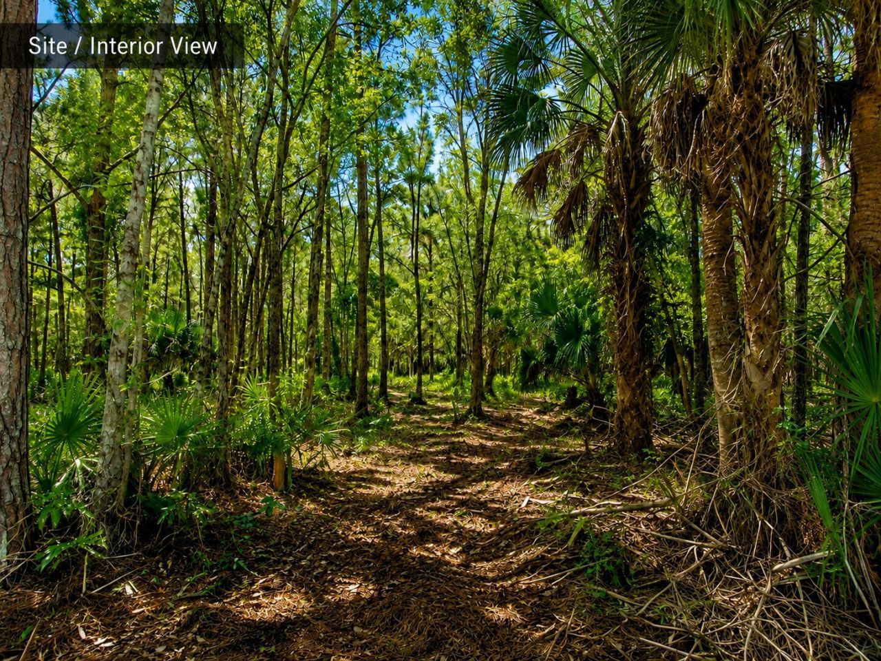 649 Sebastian Boulevard, Sebastian, FL 32958 Photo