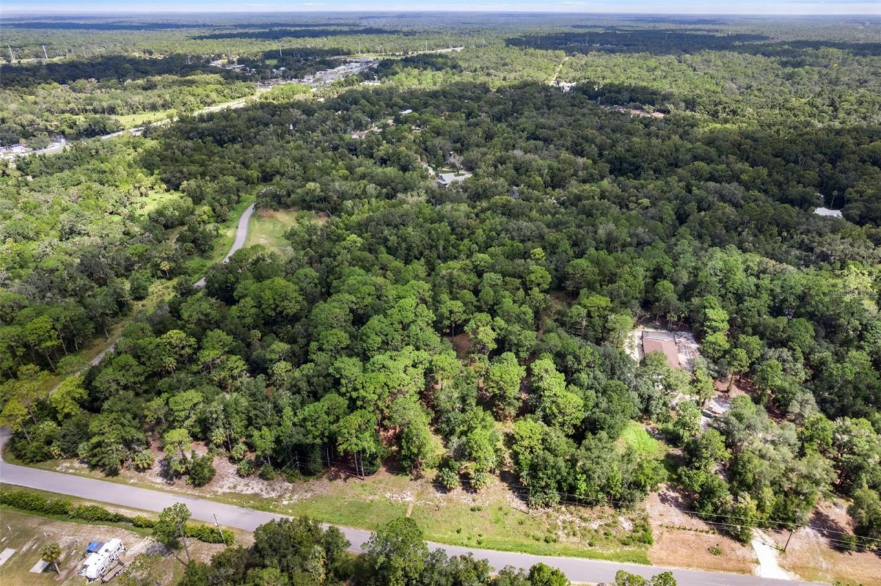 13707 W Foss Groves Path, Inglis, FL 34449 Photo