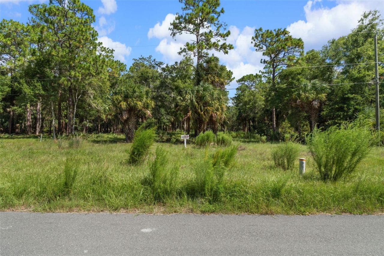13707 W Foss Groves Path, Inglis, FL 34449 Photo