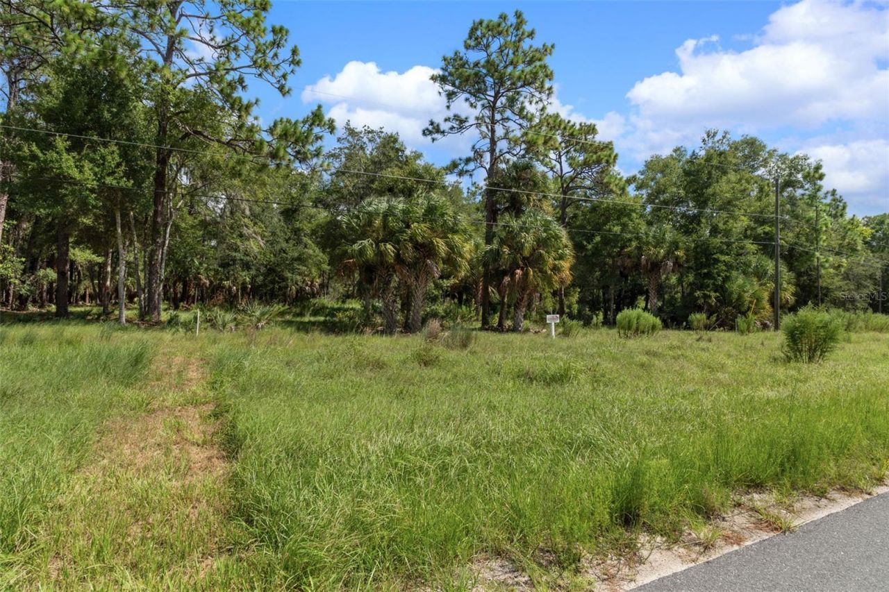 13707 W Foss Groves Path, Inglis, FL 34449 Photo