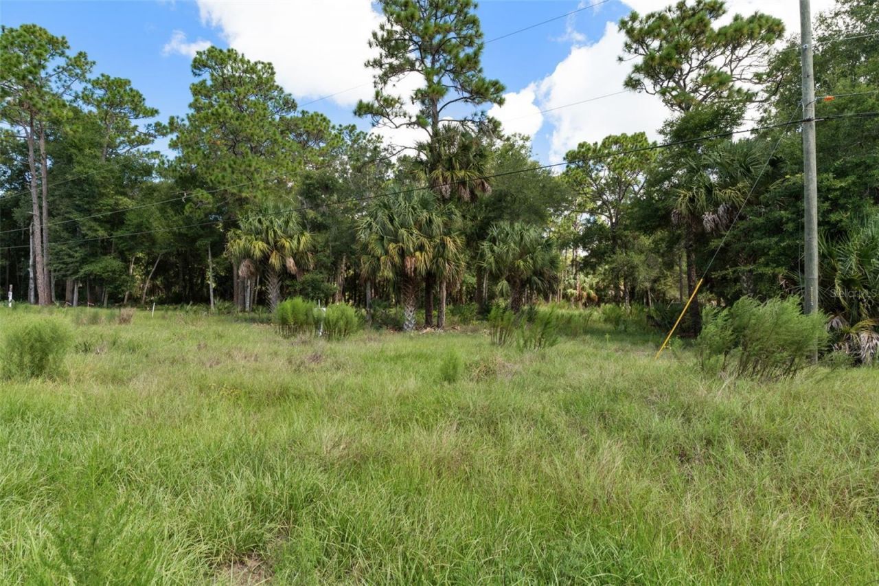 13707 W Foss Groves Path, Inglis, FL 34449 Photo