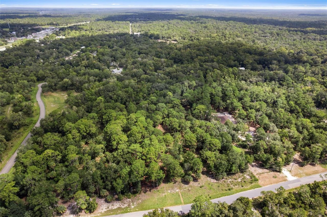 13707 W Foss Groves Path, Inglis, FL 34449 Photo