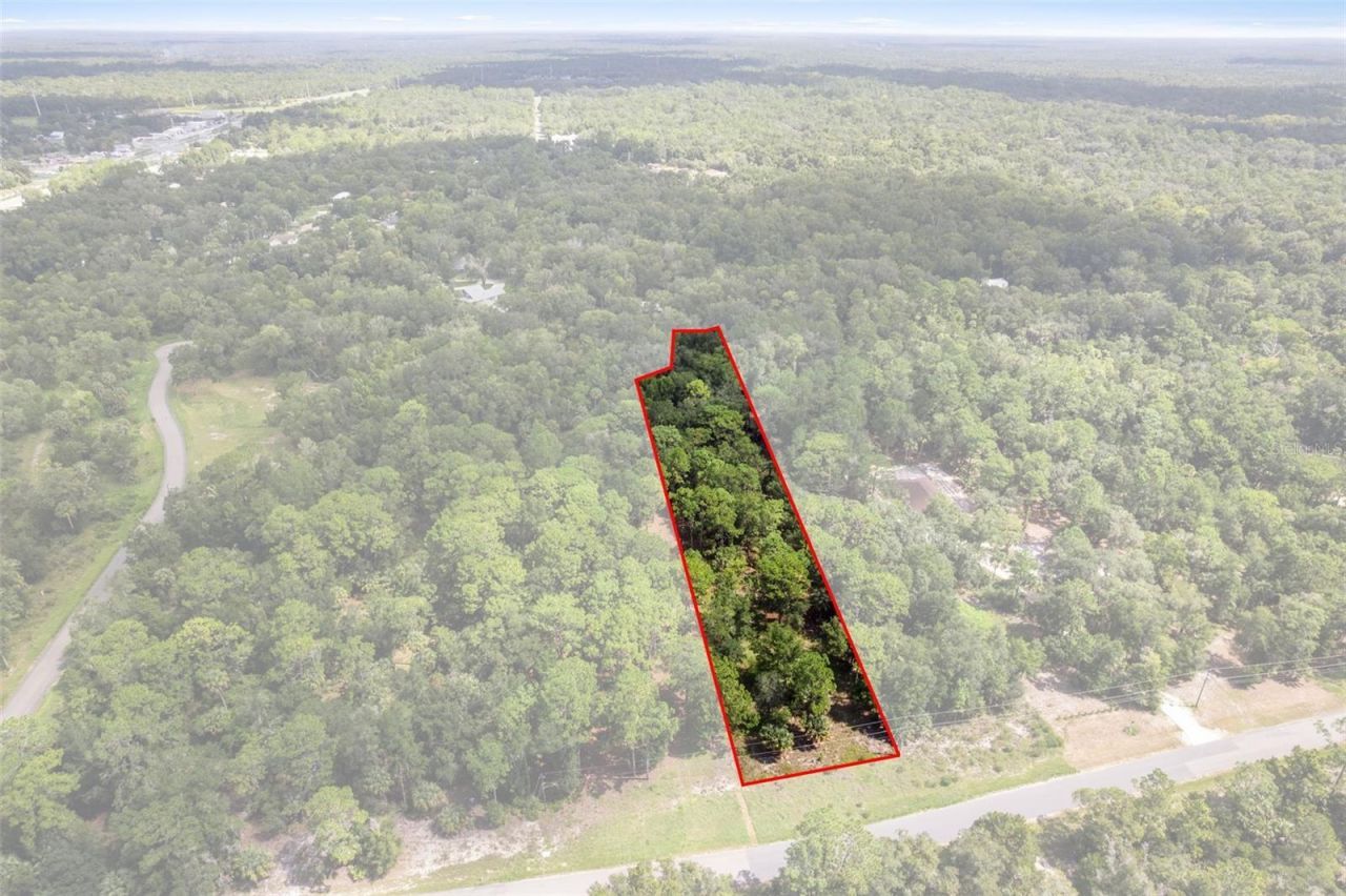 13707 W Foss Groves Path, Inglis, FL 34449 Photo