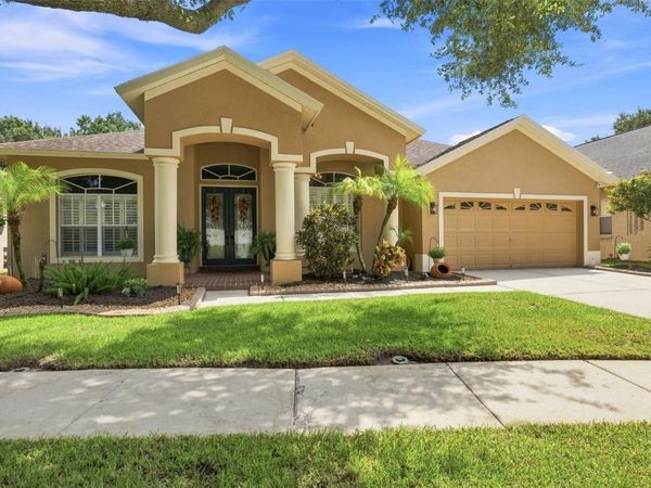 19803 GLAZING GLOBE LANE , LUTZ, FL 33558