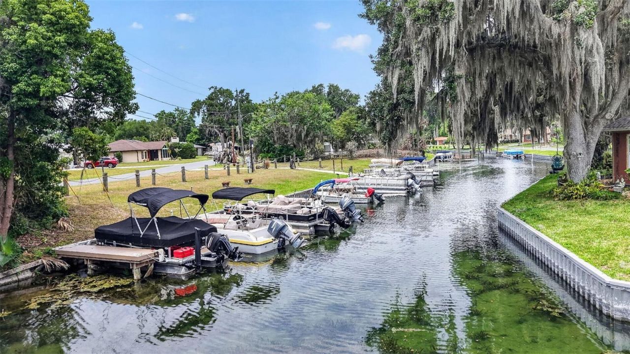 46 Palm Drive , Yalaha, FL 34797 Photo