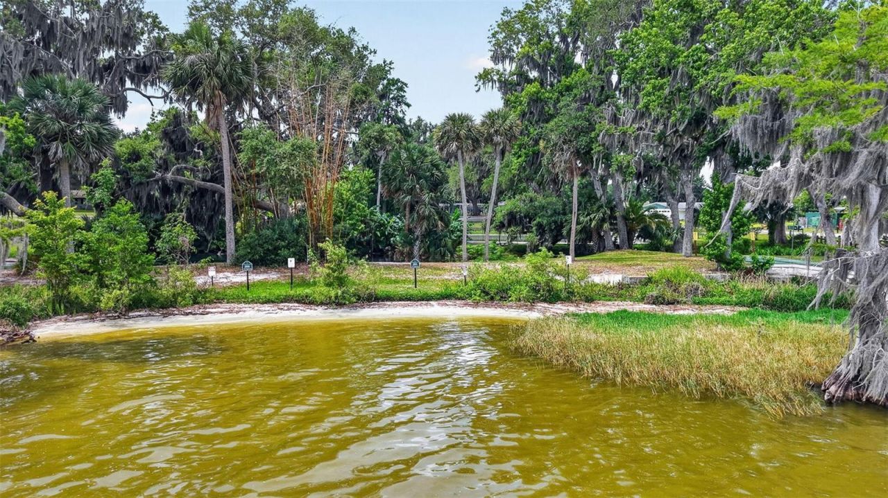 46 Palm Drive , Yalaha, FL 34797 Photo